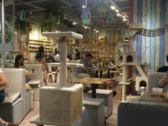 大堂-小时光咖啡馆(开森度假森林店)