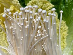 -红鼎豆捞·非遗鲍皇汤火锅(宝丰路店)