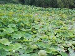 -宋记冕宁土菜馆(海门渔村二店)