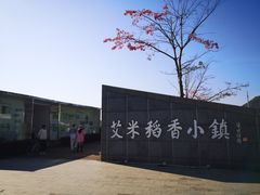 -艾米稻香小镇