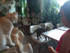 -小时光咖啡馆(北锣鼓巷店)