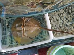 -渔中舟海鲜大排档(普陀沈家门店)
