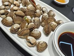 血蛤-金潮排档·金牙齿排档(广场西路店)