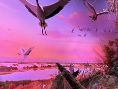 -中国湿地博物馆