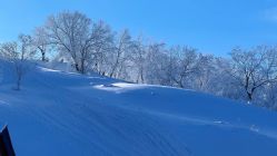 -大秃顶子山