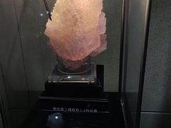 -中华赏石园