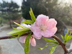 -滨河世纪广场公园