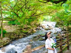 -广州市石门国家森林公园