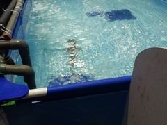 景点-烟台海昌鲸鲨海洋公园