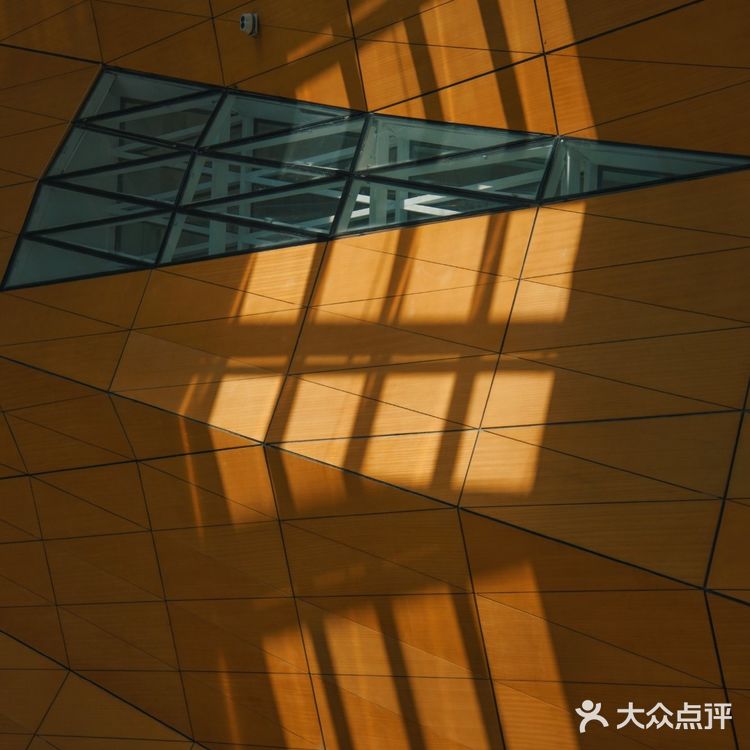 苏州小众摄影地|与光影约会只需要一个晴天