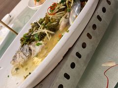 雪菜笋丝蒸大黄鱼-舜泉海鲜(百官店)