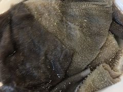 极品鲜毛肚-洞子老火锅(青年路店)