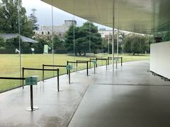 -金泽21世纪美术馆