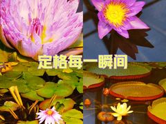 -国家植物园南园