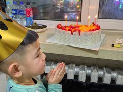 -维尔纳斯·生日蛋糕动物奶油冰淇淋蛋糕(人大店)