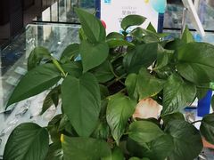 -大明眼镜(延庆1店)