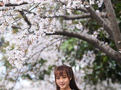 -南浦大桥长途旅游客运站