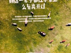 -耶里夏丽·丝路新疆菜·清真食品(徐汇南丹东路臻选店)