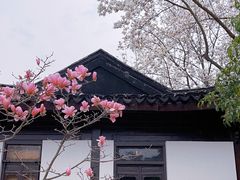 -红梅公园