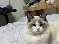 -北京恒爱动物医院(清景园分院)