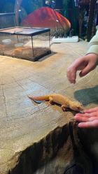 -酷嗒动物文化乐园(cutezoo西溪乐天城店)