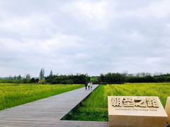 -良渚古城遗址公园