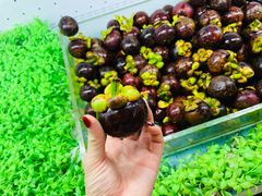 -东吴水韵(吴中店)