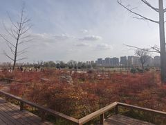 -汉长安城未央宫国家考古遗址公园