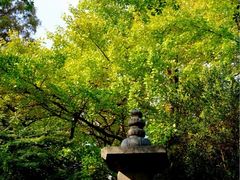 iphone_upload_pic-汇龙潭