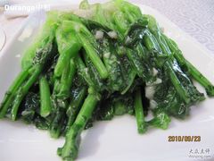 蒜蓉芥蓝-蟒山（北京）会议中心