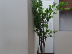 -喜茶(中山利和新地店)