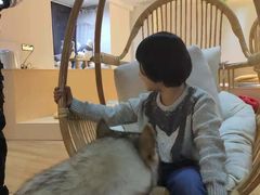 -Husky Go! 哈士奇体验馆·宠物咖啡厅狗咖