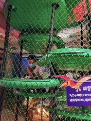 -恐龙探索乐园(磁器口店)