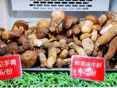 -太婆天府山珍酒楼(亚运村店)