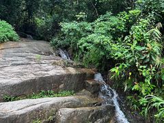 -阳台山森林公园