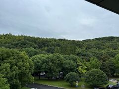 -上海佘山茂御臻品之选酒店(原佘山艾美酒店)