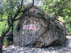 -阳台山自然风景区