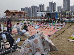 -江滩湿地公园