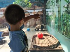 -石家庄市动物园