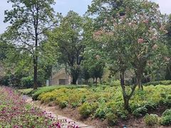 -广州市流溪河国家森林公园