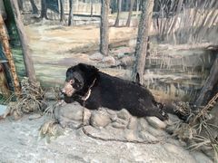 -北京动物园-畅观楼