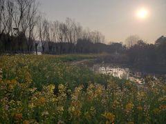 -艾溪湖湿地公园