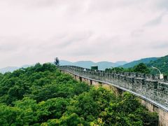 -黄贤森林公园