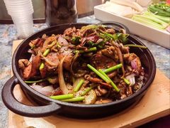 -饺子功·东北记忆·锅包肉(电厂路店)