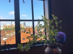 -滇野云南野生菌餐厅(陕西南路店)