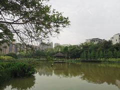 -金山公园