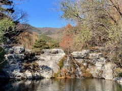 -国家植物园南园