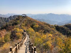 -大岭沟猕猴桃谷风景区