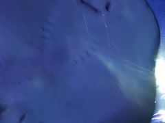 -沈阳海洋探索中心