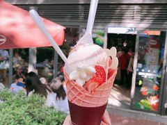 -哈根达斯(武汉天地店)